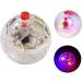 U-K Flash Ball Toy 2 Pieces Ghost Flashing Balls Light Up Cat Dog Balls Toy Paranormal Equipment Pet Balls Toy Useful and Nice - Buy Online on GoSupps.com