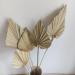 NAABHIKA 5/10 Pcs Boho Dried Palm Spears Natural Dried Palm Fans Dried Palm Leaves Dried Palm Leaf Palm Fan Leaf with Stem-Khaki 5PCS - Buy Online on GoSupps.com