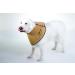 All Four Paws Comfy Cone for Pets - XX Large Skin Color | Comfortable Protective Dog Cat Collar - Buy Online on GoSupps.com