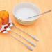 BCDlily Stainless Steel Dinner Spoons Long Handle Tea Coffee Spoons Cutlery Tableware Home Kitchen Dessert Spoon Gift (Silver 1) - Buy Online on GoSupps.com