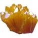 Natural Quartz Crystal Cluster Titanium Bismuth Electroplated Yellow Geode Stone Specimen Home Decoration Gifts Stone Mineral Specimen (Color : 50g) - Buy Online on GoSupps.com
