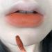 BADALO Velvet Mist Water Mist Lip Mud Soft Silky Matte Matte Vegan White NonStick Lip Gloss Lip Glaze Lipstick Color 5Autumn Sweet Persimmon