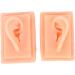 Acupuncture Ear Model for Practice | 2-Piece Set | Smooth Texture | Ideal for Students - Buy Online on GoSupps.com