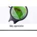 Handheld Magnifying Glass Magnifying Glass With Light 30X Handheld Large Magnifying Glass LED Illuminated Lighted Magnifier For Seniors Reading Soldering Inspection Coins Jewelry Exploring Read 90mm - Buy Online on GoSupps.com