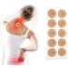 Buy Ailos Acupuncture Therapy Tools - Magnetic Acupressure Plaster & Pain Relief Stickers for Body Care | International Shipping - Buy Online on GoSupps.com