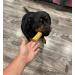 Himalayan Yak Cheese Dog Chew - Himalayan Dog Chew - (EXTRA LARGE BULK 4 COUNT) - (SMALL-MEDIUM-LARGE-EXTRA LARGE-JUMBO) - Himalayan Dog Chew - Cheese Bones For Dogs - Yak Cheese Himalayan Chew - Dog Chew- Cheese Bone - Himalayan Yak Milk - Natural Yak Ch - Buy Online on GoSupps.com