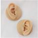 Silicone Ear Model - Simulation Human Ear Model - for Human Body Piercing Acupuncture and Moxibustion Ear Practice Teaching Earrings Earrings Show