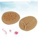 FRCOLOR High Heel Shoe Inserts - Forefoot Pad Insoles & Thickening Half Size Pads for Comfort - Buy Online on GoSupps.com