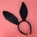 hgnxa Ears Headwear Animal -tie Tail Ear Hair Hoop Simple Headband Theme Party Costume Black - Buy Online on GoSupps.com