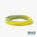Rio Premier Gold Fly Line - Easy Cast for Flies Size 2-22 | Ultimate All-Around Line with Ultra-Slick Performance - Moss/Gold WF4F - Buy Online on GoSupps.com