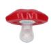 Soft Silicone Baby Pacifier - Funny Lips Soothie Safe & Eco-Friendly Gift for Babies & Toddlers - Buy Online on GoSupps.com