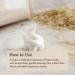 Skinfood Rice Brightening Scrub Foam 150ml - Radiant Skin Exfoliation - Buy Online on GoSupps.com