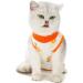 Agoumlux Cat Recovery Bodysuit - Post-Surgery Leakage Protection Cotton Orange | M Size for Cats - Buy Online on GoSupps.com