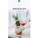 Gloves Transparent White Household Washing Dishes and Clothes Waterproof Plastic Household Cleaning Non Slip Durable high Temperature Resistant Thin Gloves TransparentwhiteFlamingo - Buy Online on GoSupps.com