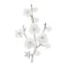 Pin Jewelry Gifts for Women Ladies Fashion Accessories Ladies Elegant Natural Shell Flower Brooch Brooch Plum Shape Party Banquet Brooch Brooches & Pins