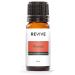 Protect Essential Oil Blend by Revive Essential Oils - 100% Pure Therapeutic Grade for Diffuser Humidifier Massage Aromatherapy Skin & Hair Care Protect 0.34 Fl Oz (Pack of 1)