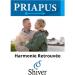 Shiver - Priapus - Ultra Powerful - Increased Energy | Performance | Endurance | - Ginseng - Men's Food Supplement - 10 Capsules - Buy Online on GoSupps.com