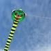 Large Cobra Kite for Adults and Kids with Extra Long 49 ft Tail - Easy to Fly - Best Huge Beach Kite for Sky Domination - Buy Online on GoSupps.com