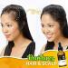  Sinye Hair Growth Serum Essential Oil Fast Hair Growth Treatment Herbal Essential Oil for Hair Loss Rapid Growth 30ml (B) - Buy Online on GoSupps.com