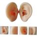 Operitacx Silicone Ear Model - Educational Ear Acupoint Learning Tool - Buy Online on GoSupps.com