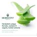 Herbatint 4N Chestnut Hair Dye - Natural & Vegan Formula - Buy Online on GoSupps.com
