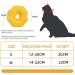Buy Mhwan Halskrause Cat Neck Straps - Breathable Cotton Waterproof Cute Flower Design - Anti-Loss Neck Rope for Cats (M) Yellow - Buy Online on GoSupps.com