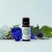 Edens Garden Wind & Sea Limited Edition Summer Essential Oil Synergy Blend - 10ml, 100% Pure Therapeutic Grade | Homeopathic Aromatherapy Scented Oil - Buy Online on GoSupps.com