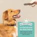 Edgard Cooper Dog Treats (Mint & Strawberry 7 Sticks x 8) Small One Per Day Low Calorie Long Lasting Effective Chew Fresh Breath - Buy Online on GoSupps.com