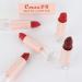 5Pcs Matte Lipstick Set for Women - Long Lasting Smudge Proof Lipstick Kit in Dark Light Shades - Buy Online on GoSupps.com
