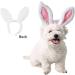 ANIAC Pet Bunny Ears Headgear for Cats and Small Dogs - Easter Costume Headband (Small/Head Girth 9.5-11) - Buy Online on GoSupps.com