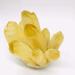 1pc 700g-1000g Natural Crystal Stone Cluster Yellow Phantom Quartz Crystal Cluster Image Ornaments for Gifts Ornaments Natural Luster - Buy Online on GoSupps.com