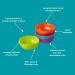 Vital Baby Nourish Perfectly Simple Bowls 5pk - 7oz/200ml | BPA-Free, Durable Baby Weaning Bowls | Bright Colors, Microwave/Dishwasher Safe - Buy Online on GoSupps.com