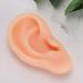 Simulated Silicone Acupuncture Ear Model for Explanation - Professional Soft and Elaborate (Right) - Buy Online on GoSupps.com