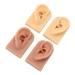 3D Silicone Ear Model for Beauty Salons - Flexible Reusable with 2 Piercing Pairs - Ideal Display for Training - Buy Online on GoSupps.com