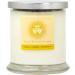 Solar Plexus Chakra Candle | New Moon Beginnings | Aromatherapy & Crystal-Infused Soy Candle | 12oz Dried Flower Candle - Buy Online on GoSupps.com