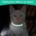 Shop Tagme Cat Neck Band - 2-Pack Reflective Collars with Safety Lock & Bell - Custom Name & Address Shield for Cats & Puppies - Turquoise 18-28 cm - Buy Online on GoSupps.com