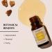 Copal Resin Essential Oil Diffuser Blend 30ml by Aromafume | Protium Copal (Burseraceae) Extract | Native to Mexico | Deepened Relaxation & an ambience for Rituals | Charged with Pure Resins - Buy Online on GoSupps.com