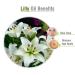 Lily Essential Oil 100% Pure & Natural | Aromatherapy Scented Fragrance Oil | Therapeutic Grade Lilium Auratum (15 ML) - International Shipping Available - Buy Online on GoSupps.com