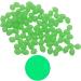 1000pcs Green Glow Fishing Beads Oval Egg Beads Tool Jigs Rigging Soft/Hard Fishing Tackle - Buy Online on GoSupps.com