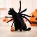 Shop Halloween Spider Costume for Dogs & Cats | Adjustable Black Paired Costumes & Decorations - Perfect for Small & Medium Pets - Buy Online on GoSupps.com