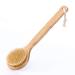 HiKin Dry Bath Body Brush 12.6  Long Handle Natural Bristles Shower Brush Back Scrubber with Anti-Slip Wooden Handle  Good for Exfoliating  Blood Circulation  Detox and Cellulite  etc. Long Handle 12.6