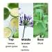 Perfume for Men Eau de Parfum Men Men Fragrance Cologne Long Lasting Perfume for Men Lavender Perfume Spray - Buy Online on GoSupps.com