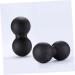 2st Pilates Earth Potal Birds Birdshake - Free Obernut Massage Ball & Yoga Roll - Ero-Nut Therapy Fitness Mini for Optimal Back Relief - Buy Online on GoSupps.com