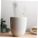 Beavorty Transparent Toothbrush Case - Universal Rectangular Travel Container | Simple Durable & Compact Design for Easy Travel - 19.8x4.6x2.8cm - Buy Online on GoSupps.com