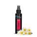 GROOM PROFESSIONAL Original Dog Cologne Spray - Dog Perfume Spray - Dog Spray for Smelly Dogs - Contains Chamomile to Soothe the Skin - Fresh Scent - Perfect for Use Between Washes 100ml 100 ml (Pack of 1)