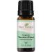 Plant Therapy Organic Tension Ease Essential Oil Blend 10 mL (1/3 oz) 100% Pure Therapeutic Grade Undiluted