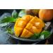 AKNA Organic Mango Fruit Powder 2 x 227g Resealable Bags - Buy Online on GoSupps.com