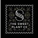 The Sweet Plant Co. Stevia Drops - Chocolate - Buy Online on GoSupps.com