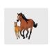 Azeeda 2 x Microfiber Glasses Cleaning Cloths with Mare and Foal (LC00020558)