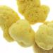 Fine-Pored Soft Silk Natural Bath Sponge | Kosmetex Hygiene & Watercolor Sponge 10 cm - International Shipping Available - Buy Online on GoSupps.com